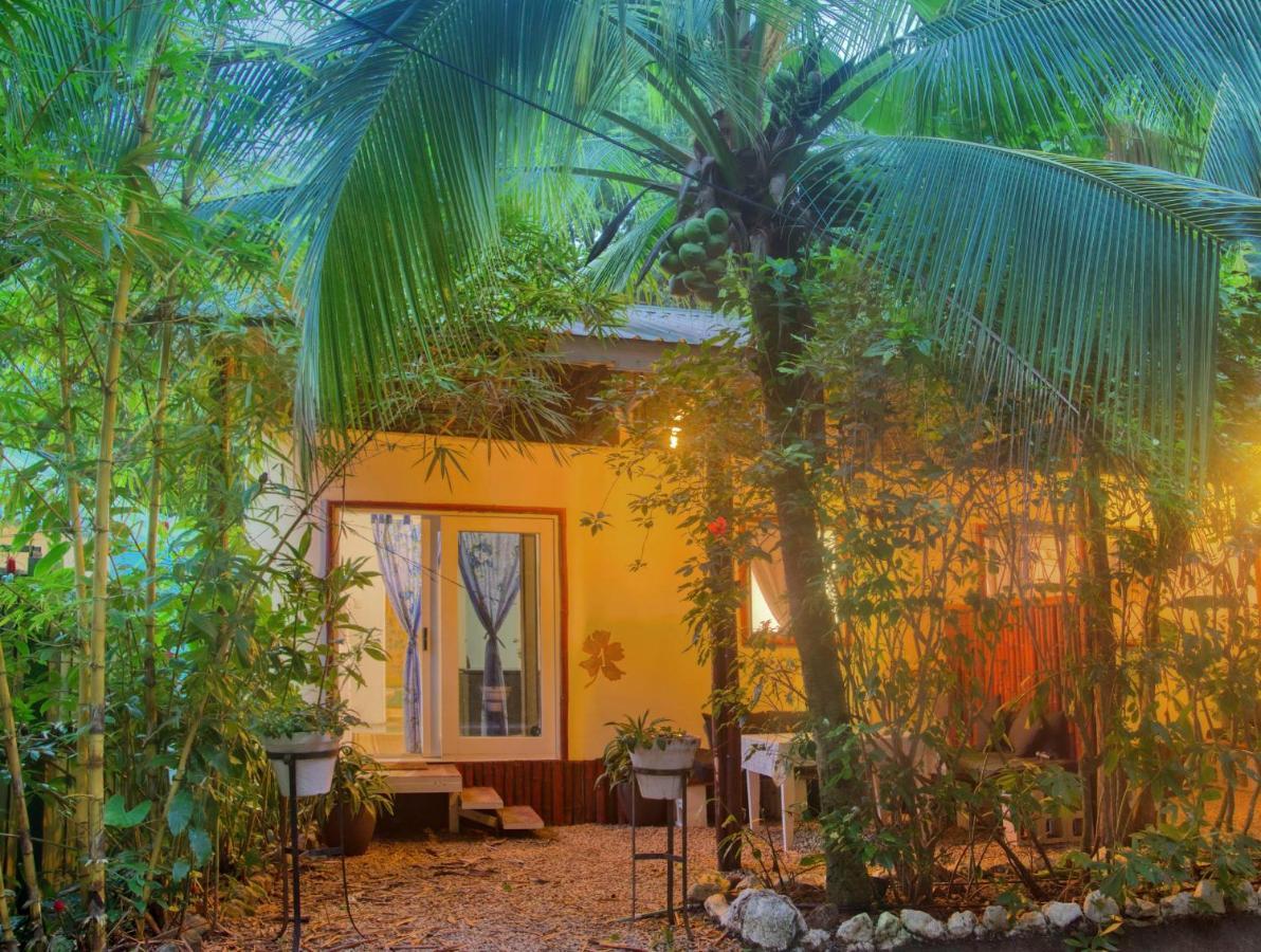 Jungle'S Edge Hotel Носара Екстериор снимка