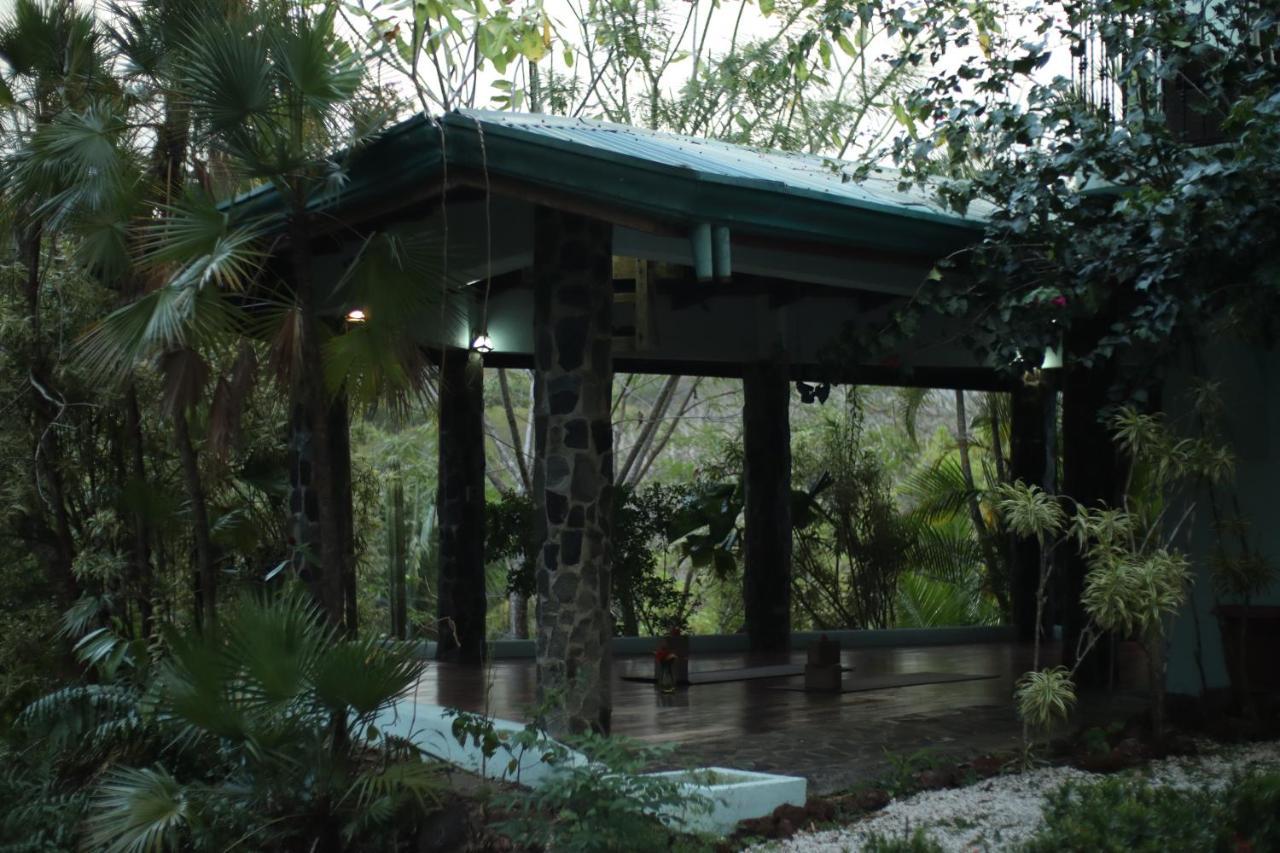 Jungle'S Edge Hotel Носара Екстериор снимка
