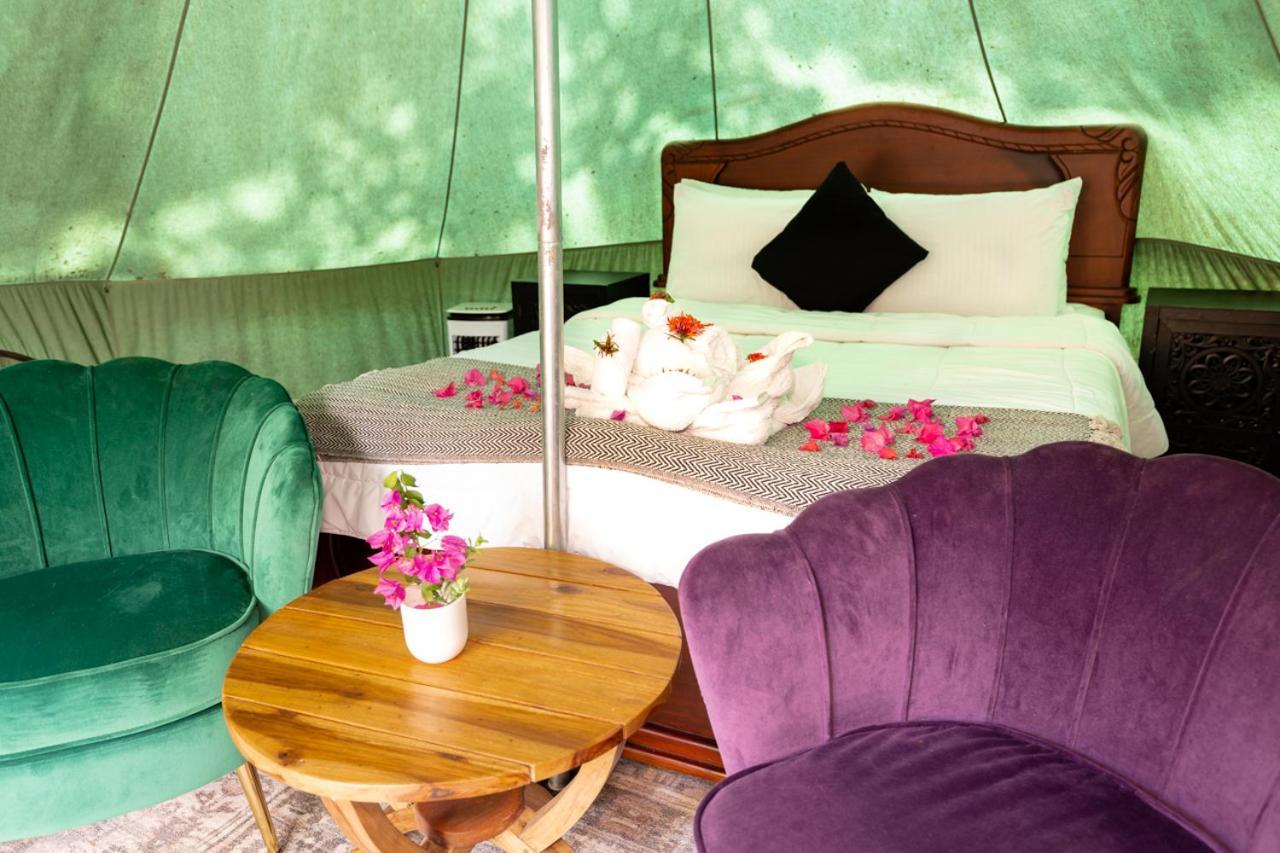 Jungle'S Edge Hotel Носара Екстериор снимка