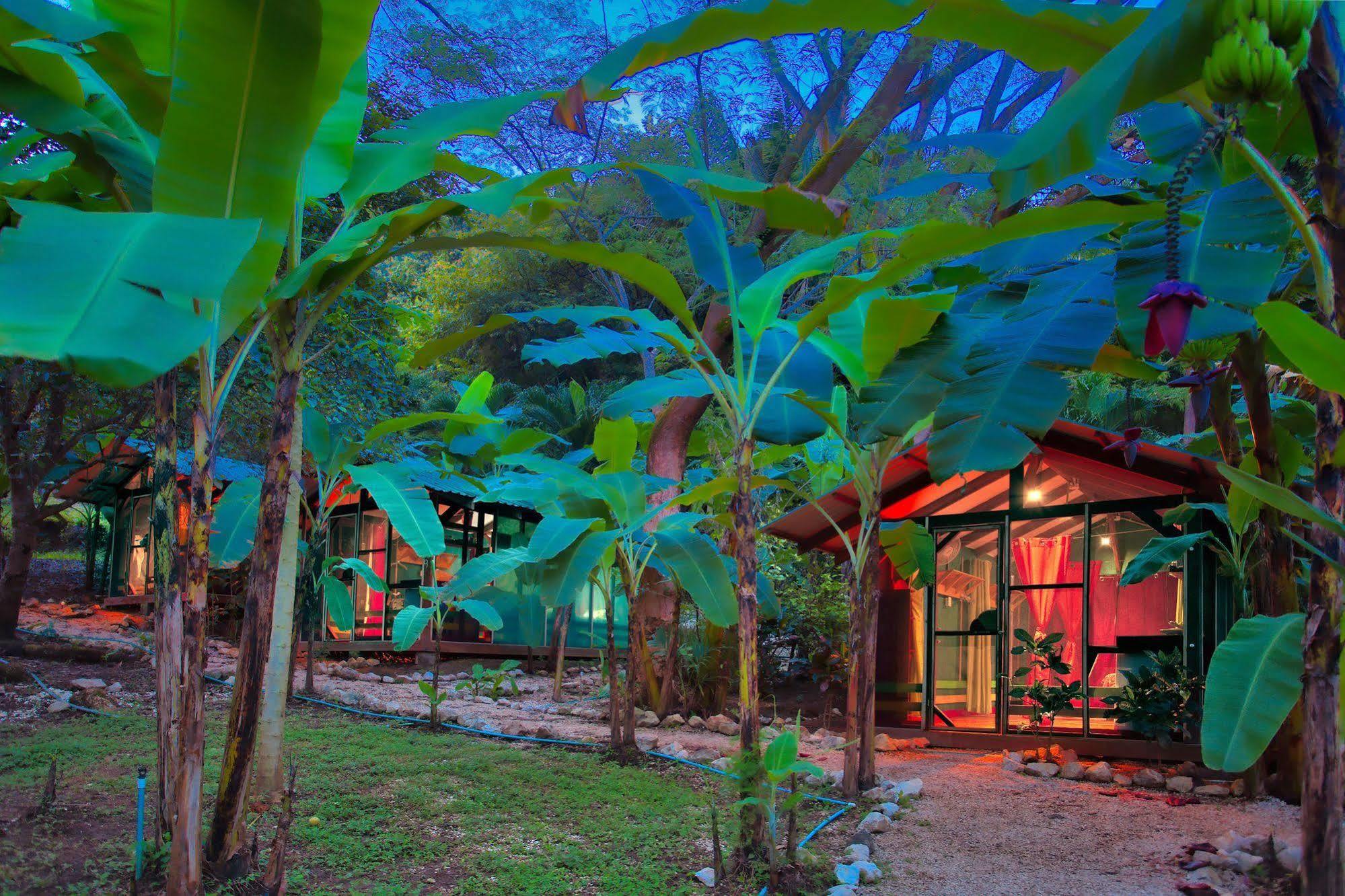 Jungle'S Edge Hotel Носара Екстериор снимка